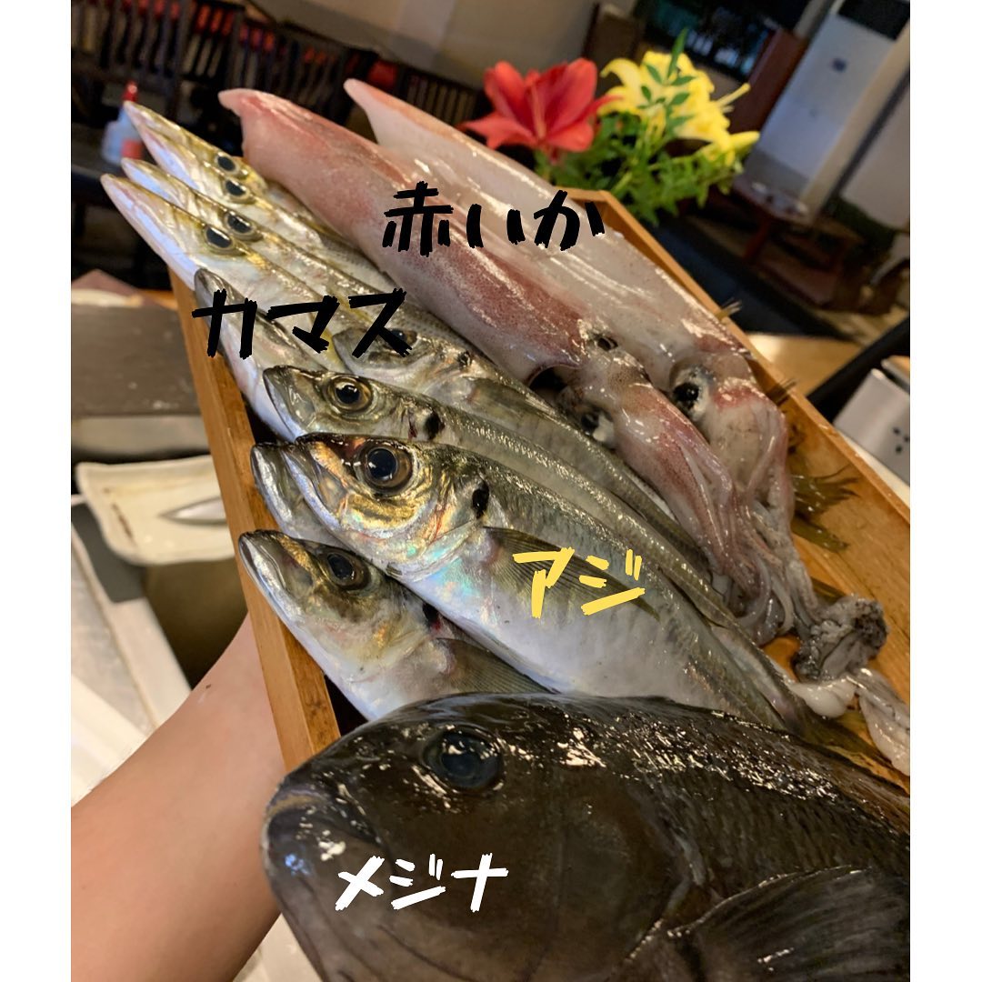 今日も新鮮な魚が小田原から届きました(*^^*)
新鮮な魚を使ったうちのお刺身はやっぱり『最強』です!!