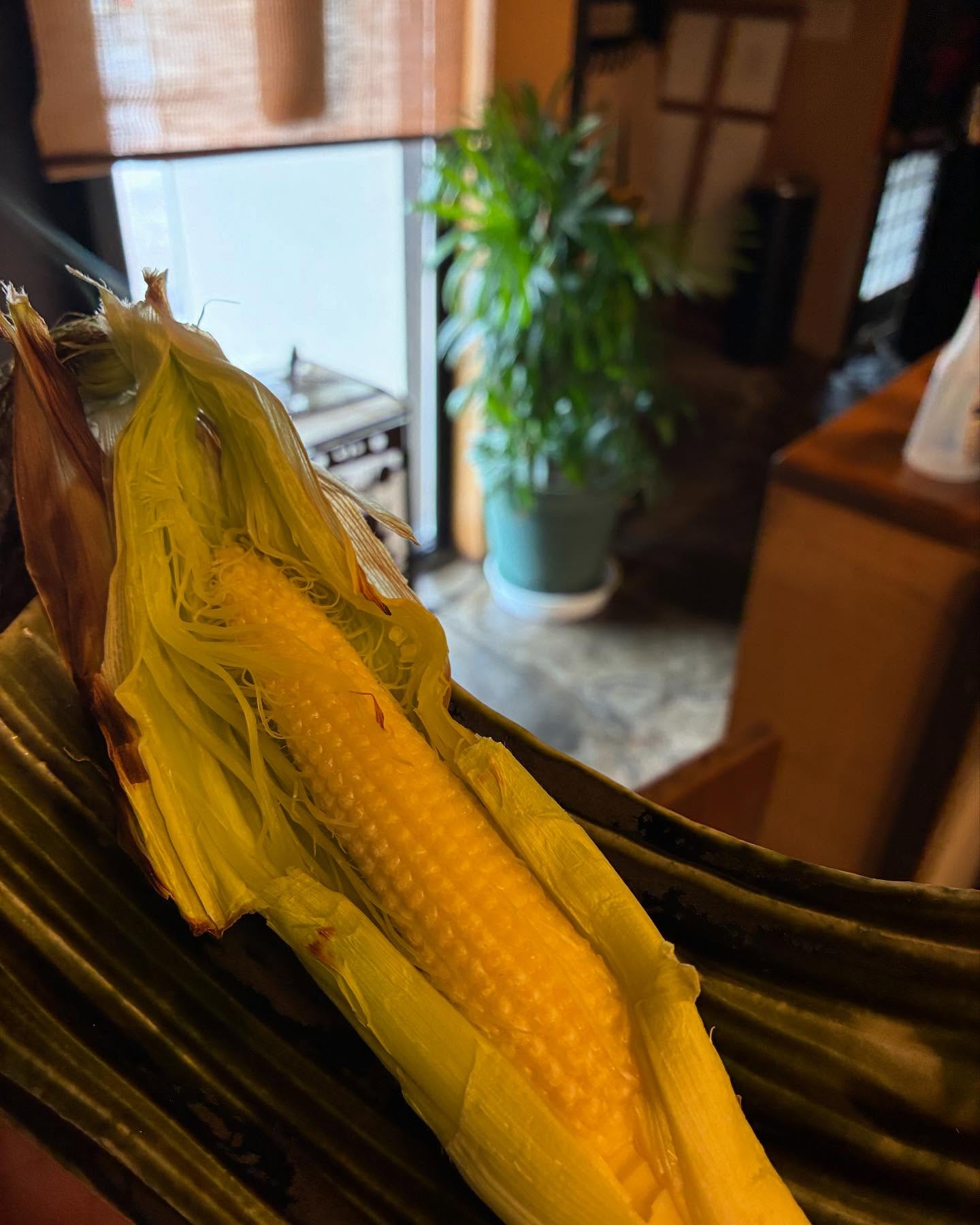 初夏️この時期にしか味わえないこの味
ヤングコーン焼いただけ️
柔らかいヤングコーンに小さくても香り、味は変わらないとうもろこしの味髭ごと美味しいこの1本
 この時期しか手に入らないのでぜひこのチャンスにどうぞ 
 #