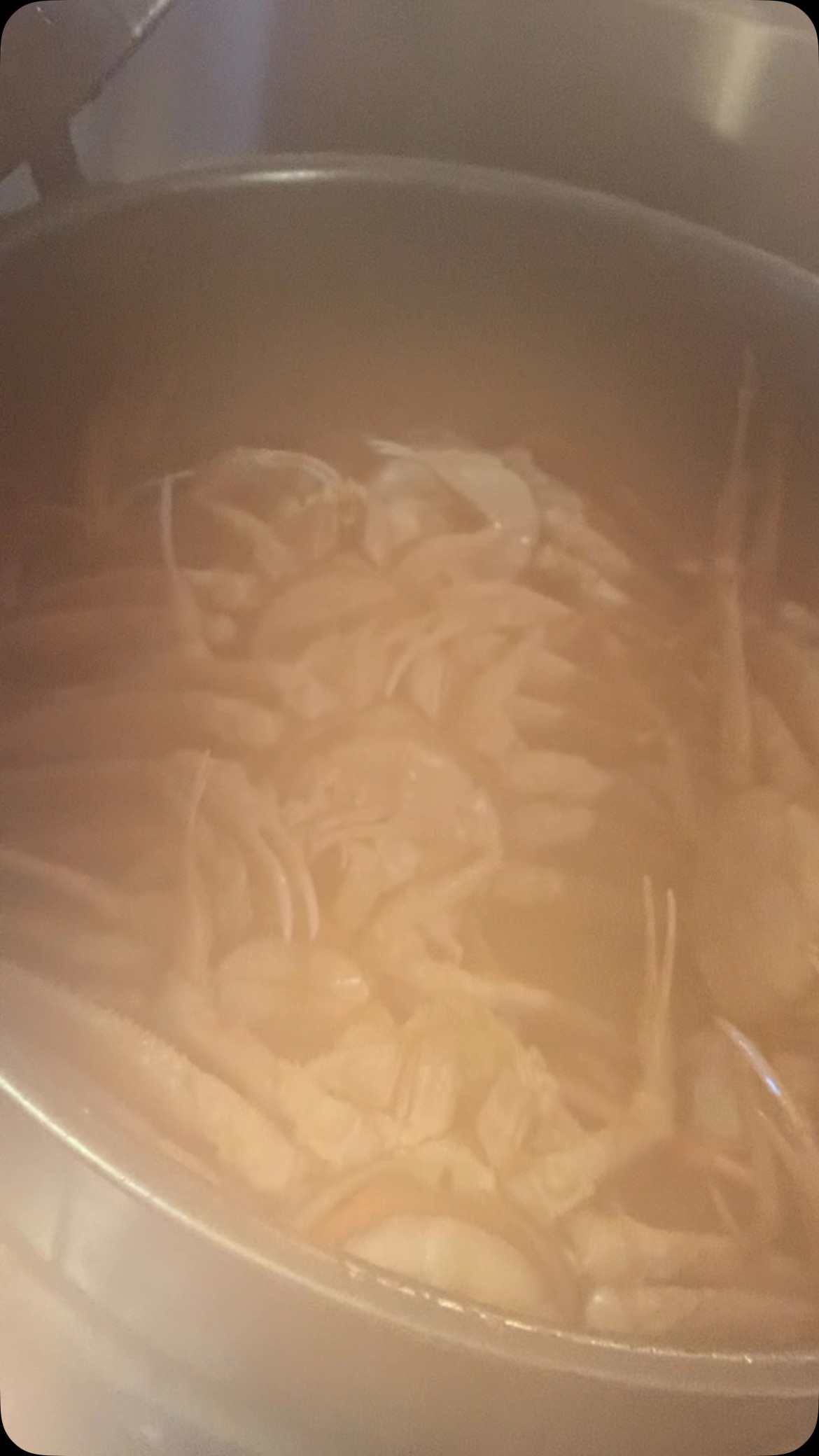 ５食限定️
かに盛り🦀
今時期旬で身がぷりんぷりんで卵もありプチプチ食感も楽しめる一品になります。
日本酒と一緒に食べてみてください
 #🦀