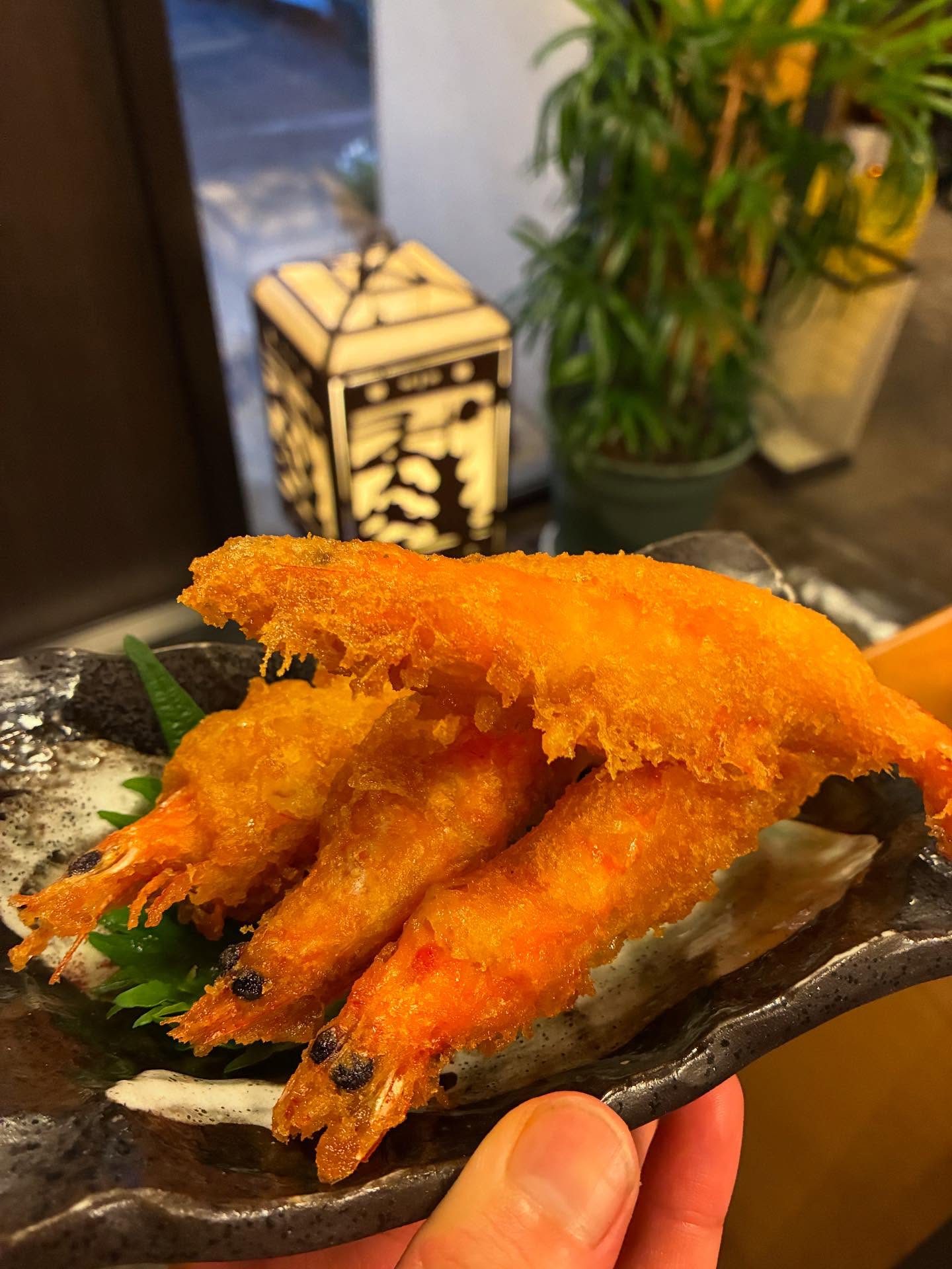 今日はさらに暑い！
何故か暑いとき海老って食べたくなりません？あ、僕だけですかね
エビのフリッターしかもただのエビじゃない、このエビソフトシェルで殻が柔らかくそのまま食べられる珍しいエビなんですよ
ビールと合わせた最高なのでぜひ食べてみてください
 
      #🦐