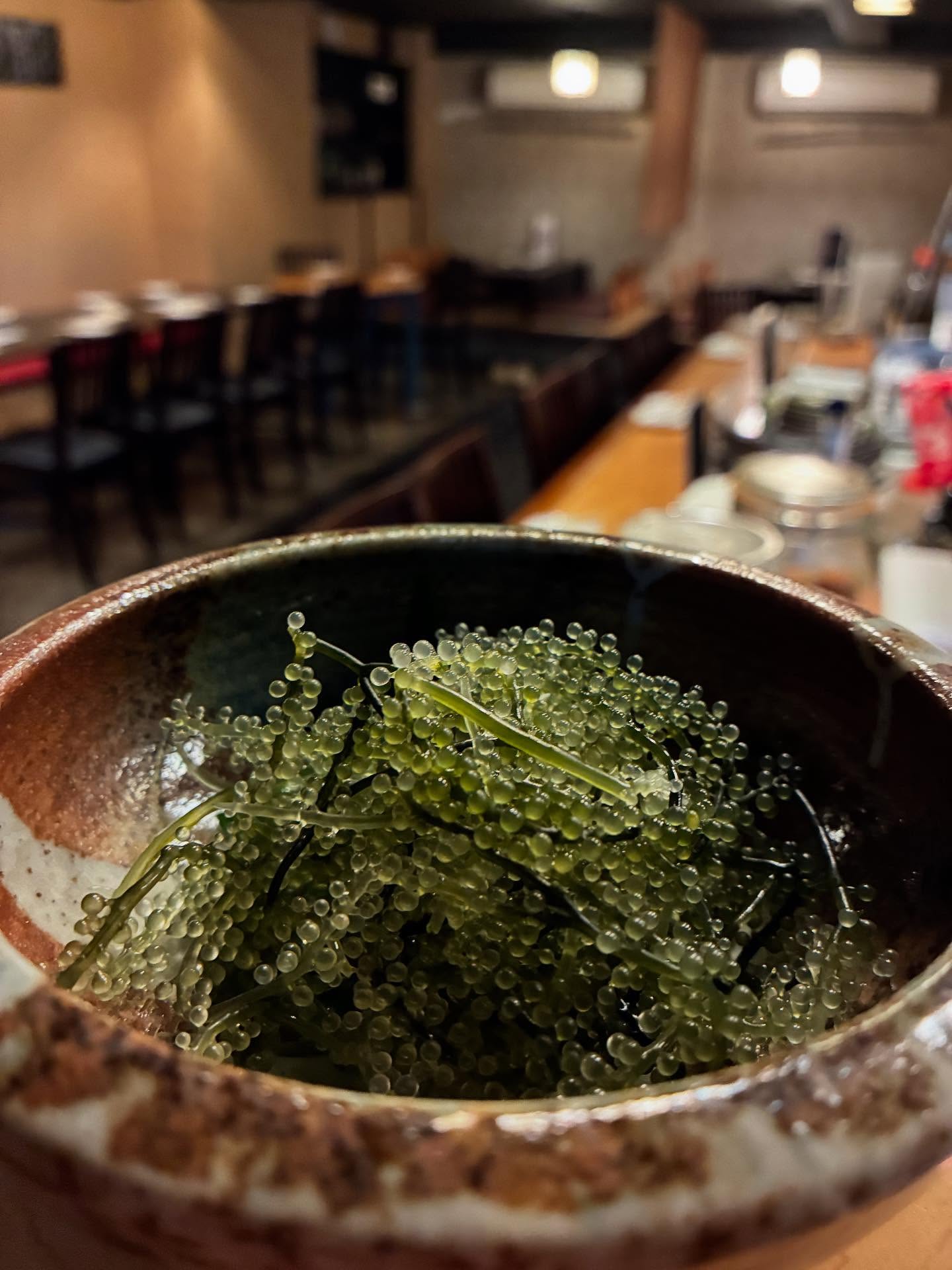 沖縄から海ぶどう届きました
青じそのタレに少し搦めてプチプチ食感を味わってみてください