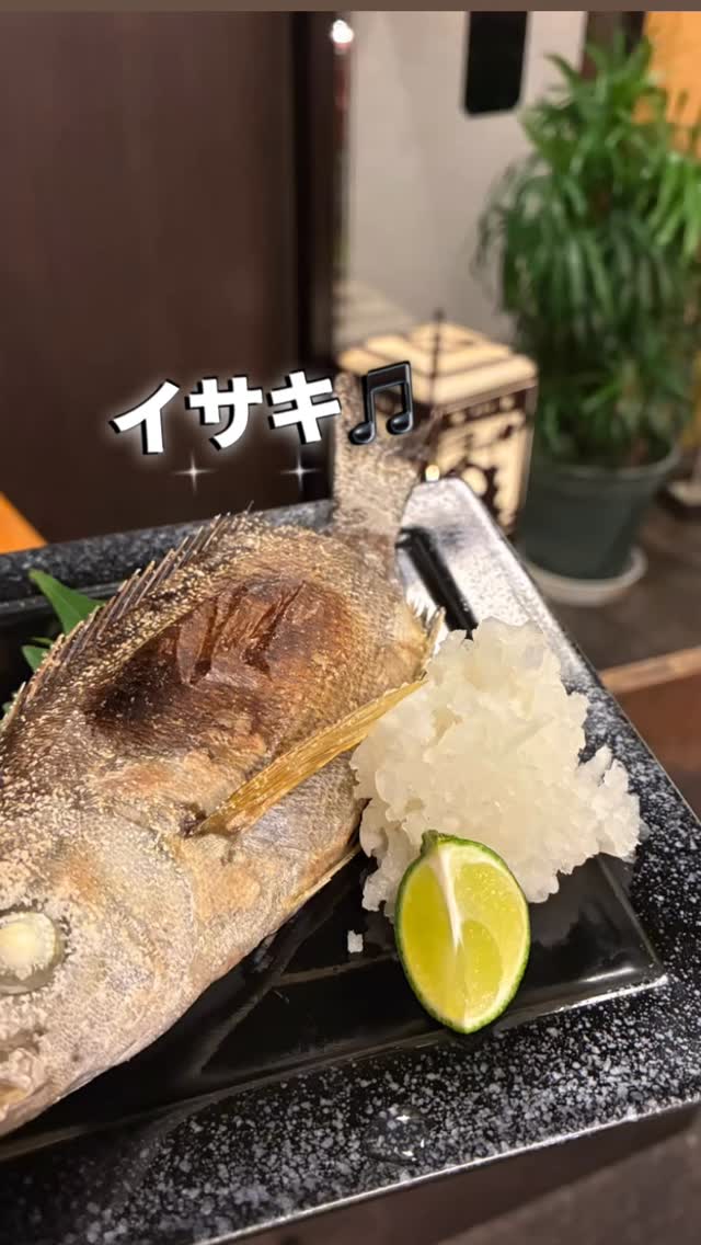 焼き魚おいてます！
今日はイサキの塩焼きをやっていて食べやすいお手頃サイズとなっていますのでぜひご注文してみてください
 居酒屋